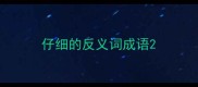 仔细的反义词成语