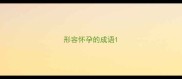 形容怀孕的成语