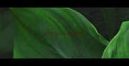 日什么什么日的成语