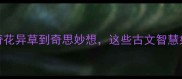 奇字成语Top20从奇花异草到奇思妙想这些古文智慧如何影响现代生活