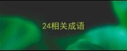 24相关成语