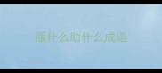 揠什么助什么成语