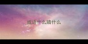 成语什么睛什么