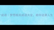 带梦字的100个成语梦想相关成语大全助你逆袭人生小红书爆款攻略