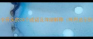 平字开头的20个成语及详细解释附用法示例