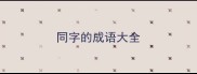 同字的成语大全