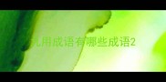 九用成语有哪些成语