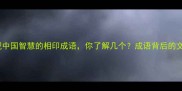 10个体现中国智慧的相印成语你了解几个成语背后的文化密码