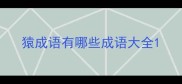 猿成语有哪些成语大全