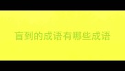 盲到的成语有哪些成语