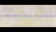 感激的100个成语小红书爆款感恩文案灵感库学会这些成语让你社交圈秒变高情商
