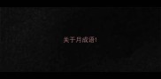 关于月成语