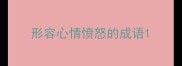 形容心情愤怒的成语