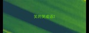 笑的哭成语