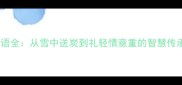 十大经典给予类成语全从雪中送炭到礼轻情意重的智慧传承附详细用法