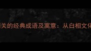 10个与白相相关的经典成语及寓意从白相文化看中文智慧