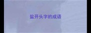 盐开头字的成语