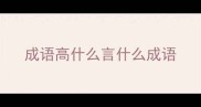 成语高什么言什么成语