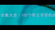 王字旁成语合集大全100个带王字旁的成语及详细
