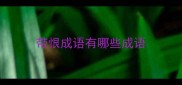 带恨成语有哪些成语