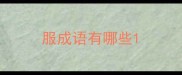 服成语有哪些