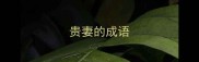 贵妻的成语