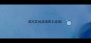 描写花的成语四字成语