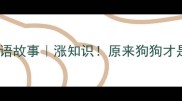 和狗有关的10个成语故事涨知识原来狗狗才是中华文明第一宠