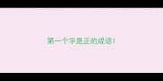 第一个字是正的成语