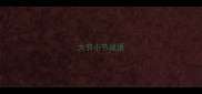 大节小节成语