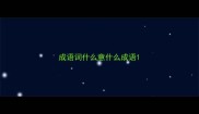 成语词什么意什么成语