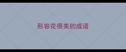 形容花很美的成语
