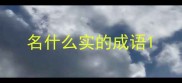 名什么实的成语