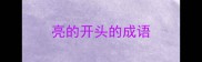 亮的开头的成语
