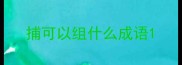 捕可以组什么成语