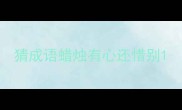 猜成语蜡烛有心还惜别