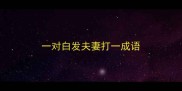 一对白发夫妻打一成语