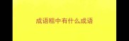 成语粗中有什么成语
