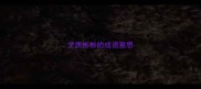 文质彬彬的成语意思