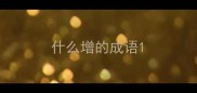 什么增的成语