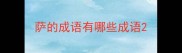 萨的成语有哪些成语