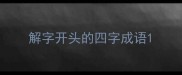 解字开头的四字成语