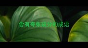 含有夸张成分的成语