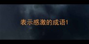 表示感激的成语