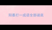 阳萎打一成语全部谜底