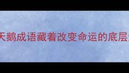 逆袭人生必看黑天鹅成语藏着改变命运的底层逻辑附真实案例