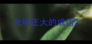 光明正大的成语