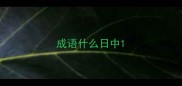 成语什么日中