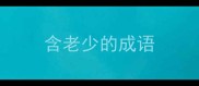 含老少的成语