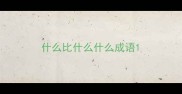 什么比什么什么成语